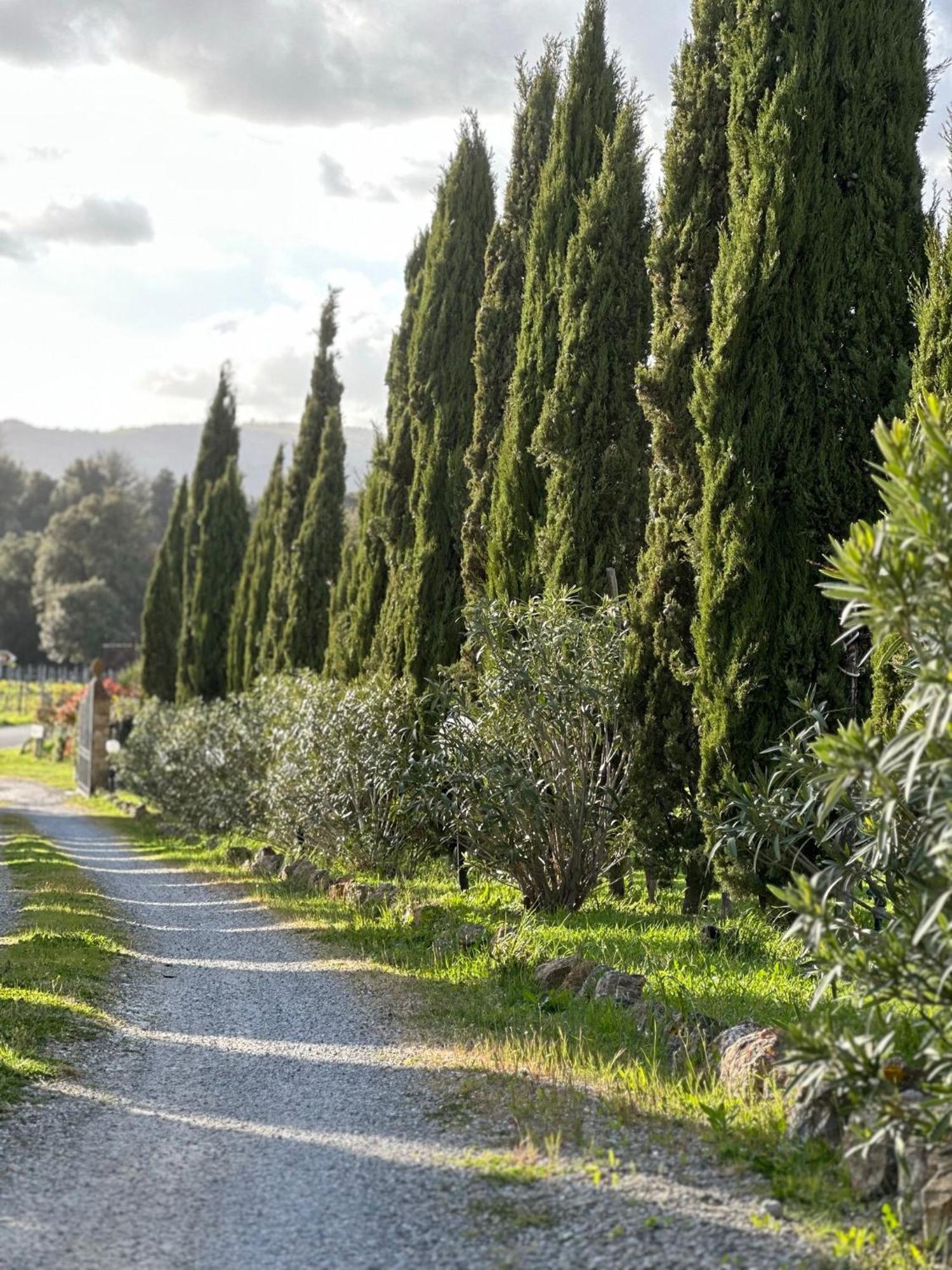 Bed and Breakfast Antico Borgo Il Cardino à San Gimignano Extérieur photo